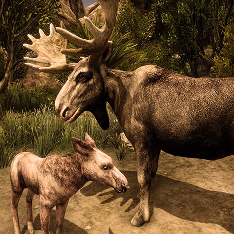 Ultimate Moose Simulator - Apps on Google Play