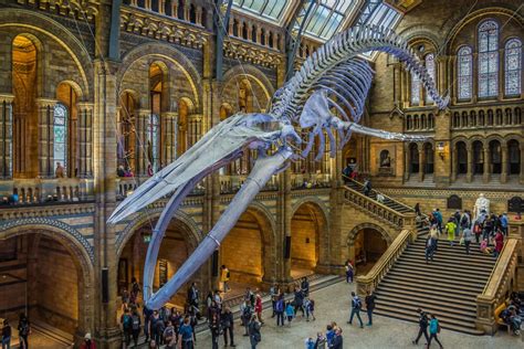 Una visita al Museo de Historia Natural de Londres - Mi Viaje