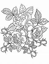 Floral Coloring Pages For Adults  Best Kids sketch template