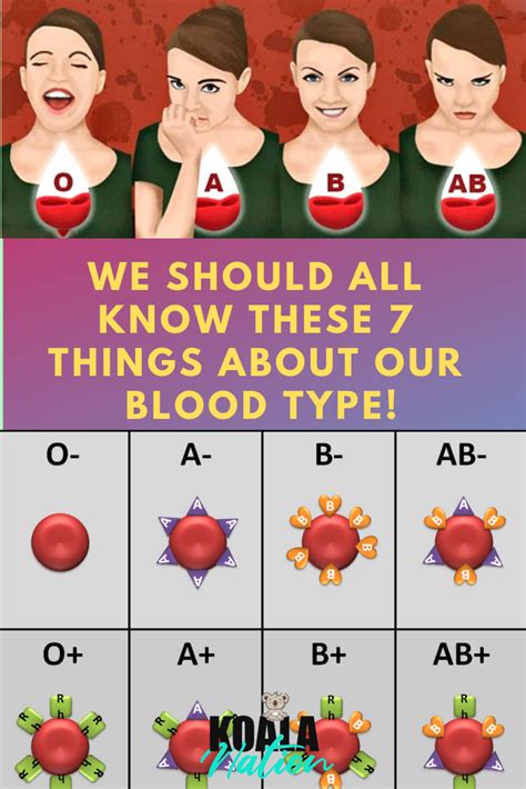 We Should All Know These 7 Things About Our Blood Type! – Koalanation in 2020 | Blood type ...