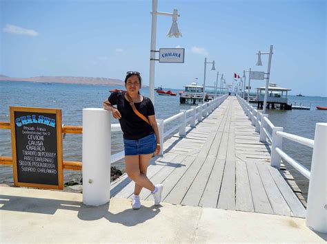 Enjoy the impressive Paracas National Reserve: A Guided Tour