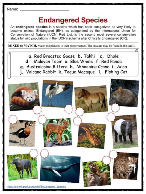 Endangered Species Facts, Worksheets, Categories & Types Of Animals