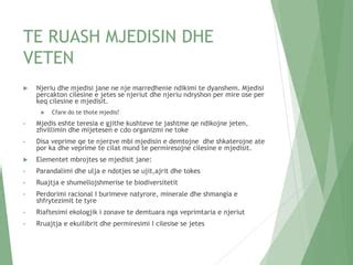 MJEDISI.pptxmjeisimjedisimjedisimjedisii | PPT | Free Download