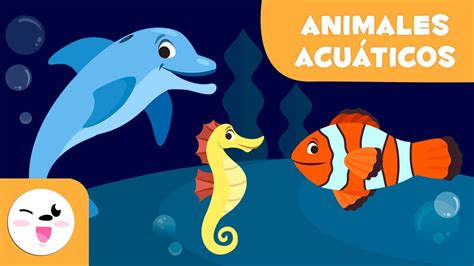 Los animales acuáticos para niños - Vocabulario para niños - YouTube