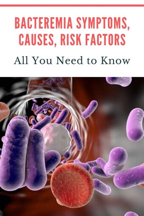 Bacteremia Symptoms, Causes, Risk Factors - All You Need to Know | Risk ...