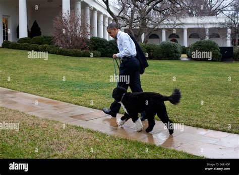 President obama family dog bo hi-res stock photography and images - Alamy