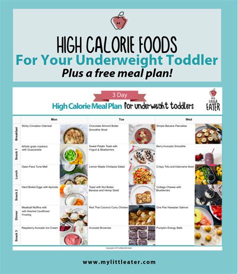 High Calorie Foods To Help Your Underweight Toddler - My Little Eater - Feel confident raising ...