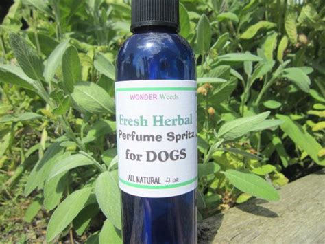 DOG Perfume Spray, ALL Natural, Choose Your Scent - Etsy | Dog perfume, Perfume spray, Natural ...