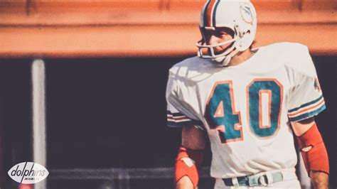 Miami Dolphins New York Jets Rivalry Origins Dick Anderson Jake Scott