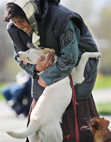 26 Dogs Hugging Their Humans | Bored Panda