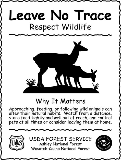 Download Poster on wildlife preservation and protection – Printable ...