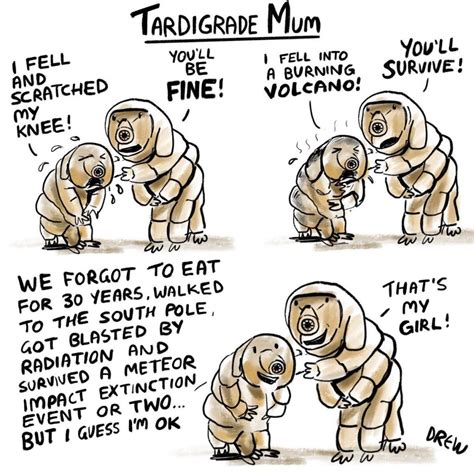 Tardigrades: Size, Lifespan, Diet, And Other Shocking Facts