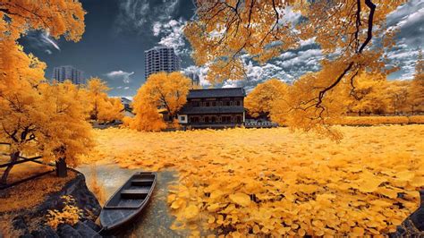 Late autumn wallpaper - backiee