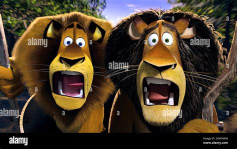 ALEX,ZUBA, MADAGASCAR: ESCAPE 2 AFRICA, 2008 Stock Photo - Alamy