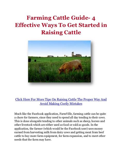 Farming Cattle Guide- 4 Effective Ways To Get Started in Raising Cattle