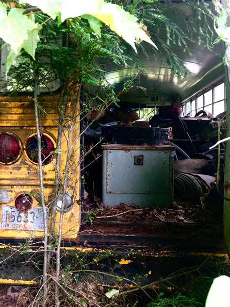 Abandoned bus (1136x640) : r/AbandonedPorn