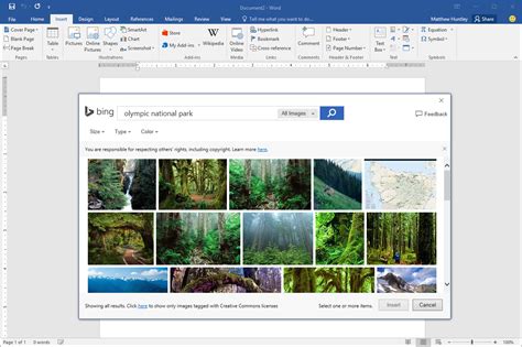 Microsoft Beefs up Edge and Office with Integrated Bing Image Search - WinBuzzer