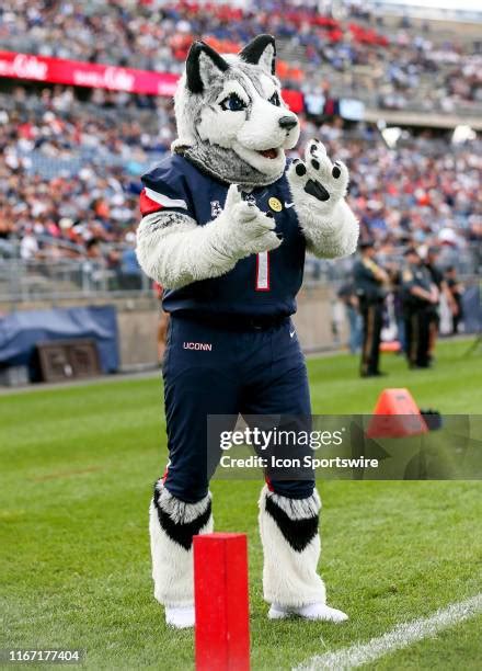 Connecticut Huskies Mascot Photos and Premium High Res Pictures - Getty ...