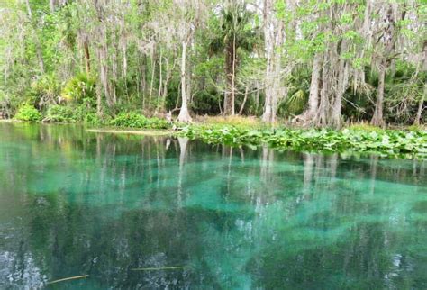 Silver Springs State Park: 7 reasons to visit famous spring