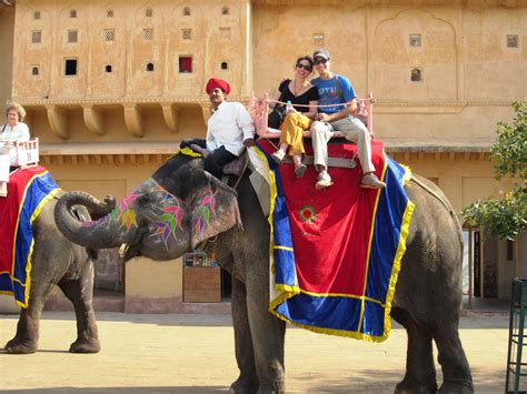 Top 10 Activities to do in Rajasthan - Things to do, Adventure