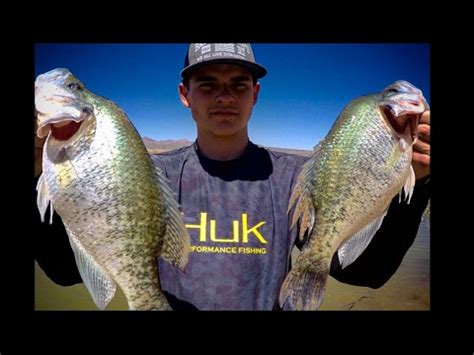 Crappie fishing San Carlos Lake!!! | OVER 100+ FISH CAUGHT!! | Fishing Arizona!! - YouTube