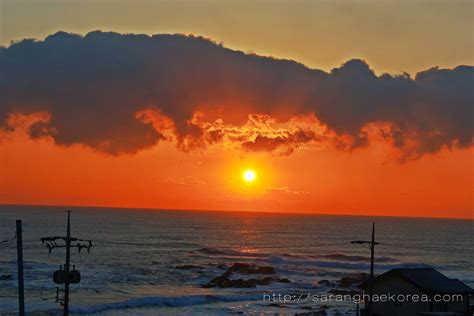 Exploring Homigot Sunrise Square and the Beaches of Pohang City in Korea