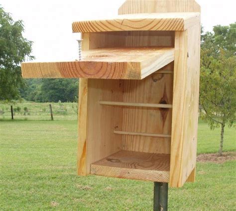 Chickadee Bird Houses Plans #birdhousetips | Bird house plans, Bird houses, Building bird houses