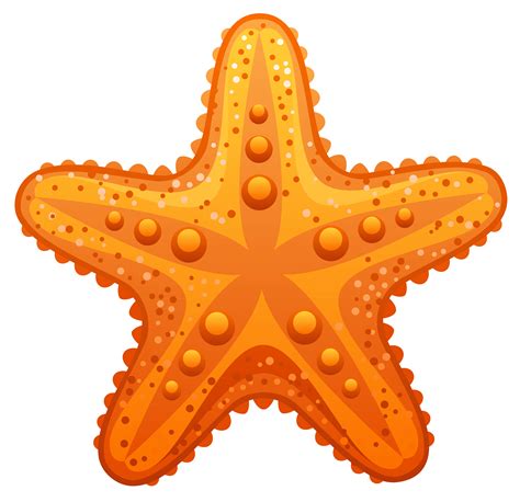 Starfish Clip art - Transparent Starfish PNG Clipart Image png download - 5280*5105 - Free ...