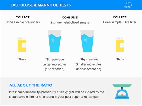 3 Tests & 10 Symptoms Of Leaky Gut + My Favorite | Goodbye Leaky Gut