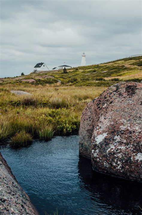 Cape Spear Trail, Newfoundland - The Driftwoods Family