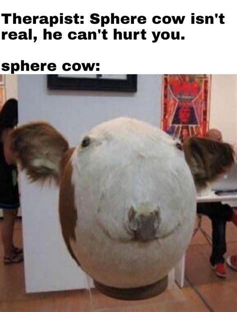 Cow memes>anything else : r/dankmemes