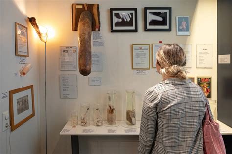 The Icelandic Phallological Museum | Arctic Adventures