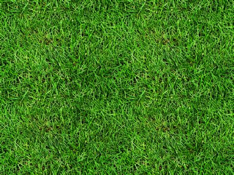 Seamless Grass Texture Free | テクスチャ, 繰り返し