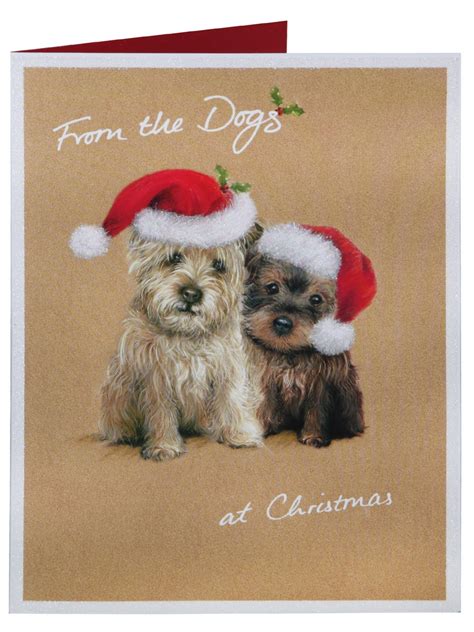 Simply From The Dogs Christmas Card - Christmas Cards - Christmas | Clintons | Dog christmas ...