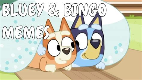 Bluey and Bingo Memes - Cutest Gifs🌩 Experimente a adrenalina do jogo com extreme luck