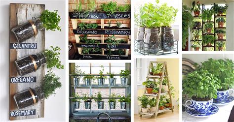 25 Best Herb Garden Ideas and Designs for 2023