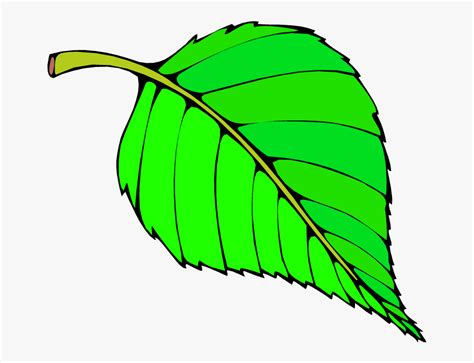 Clipart leaf cartoon, Clipart leaf cartoon Transparent FREE for download on WebStockReview 2024