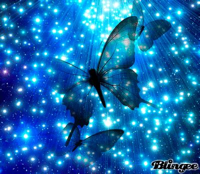 Blue Butterfly | Butterfly wallpaper backgrounds, Butterfly gif, Blue ...