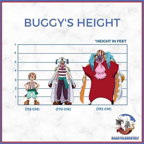 The Big Question : How Tall Is Buggy from One Piece