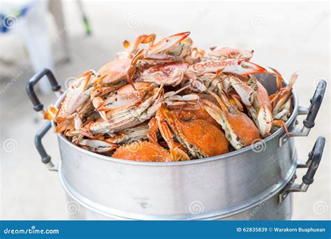 Steamed crab stock image. Image of nature, crabs, healthy - 62835839