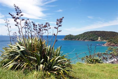 Exploring the beaches of Northland, NZ | MiNDFOOD