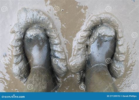 Boots Stuck In The Mud Stock Photo - Image: 27139970