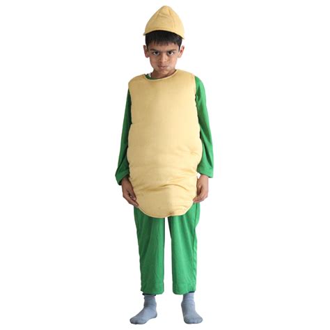 Potato Costume Rental in Udaipur | Fancyano