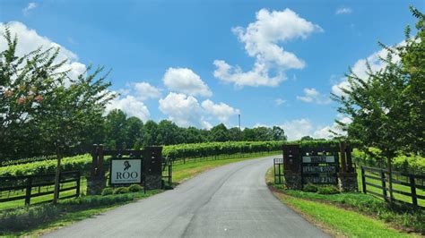 Roo Mountain Vineyards in Ellijay GA 🍷 | Ga Mountains Guide