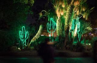 LA Zoo Lights | Los Angeles Zoo | Los Angeles, CA | Things to do in Los Angeles