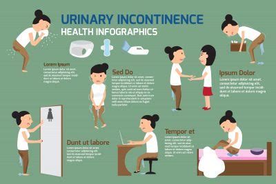 How To Prevent Incontinence - Phaseisland17