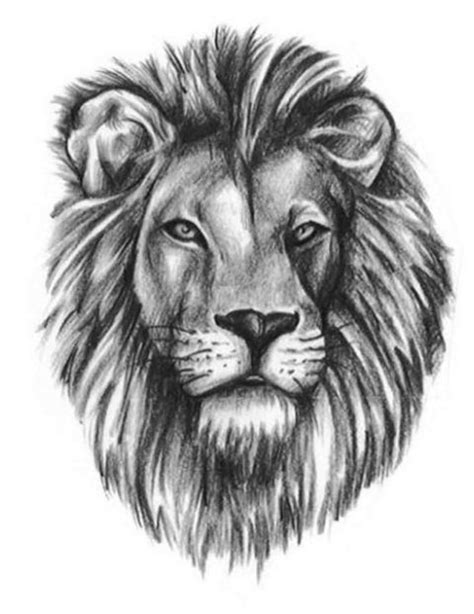 34 best Lion Tattoo Outline images on Pinterest | Simple lion tattoo ...