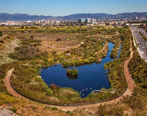 Ballona Wetlands Ecological Reserve