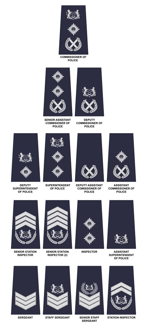 Singapore Customs Rank Structure