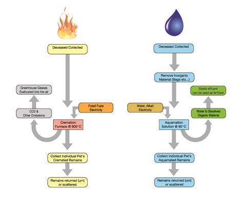 Aquamation - All About The Process